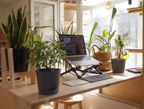 Remote Work at Cloudshot